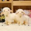 Eid Ramadan Sheep Plush Doll Adorable Standing Bell Lamb Stuffed Toy Non-toxic Soft Plushie for Kids Birthday Gift Party Decor