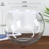 Modern Minimalist Hydroponic Glass Vase for Pothos & Green Plants - Living Room Desk Decor