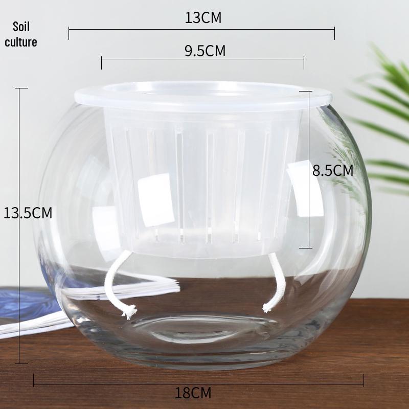 Modern Minimalist Hydroponic Glass Vase for Pothos & Green Plants - Living Room Desk Decor
