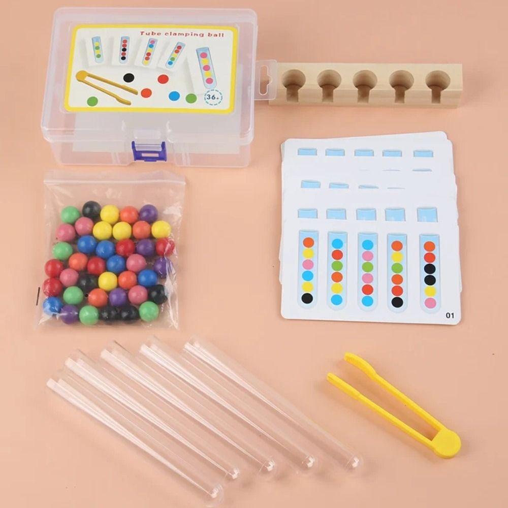 Educational Toy Clip Beads Test Tube Toys Multiple Color Clip Beads Color Matching Games  Learning