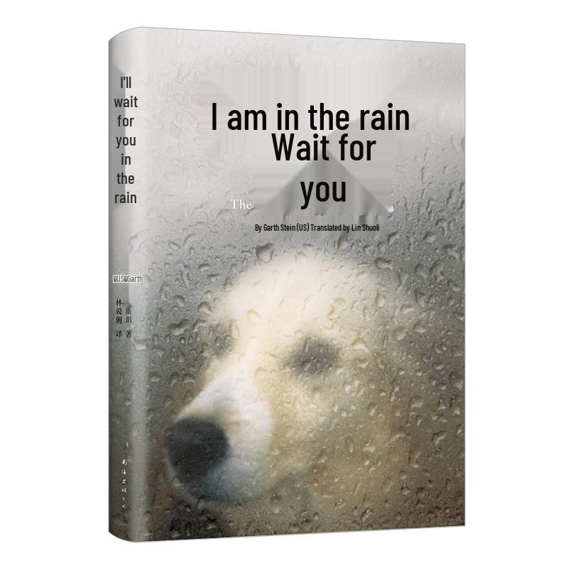 I m Waiting for You in the Rain (New Edition)