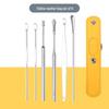Six-Piece Stainless Steel Ear Cleaning Set with Spring Spiral Tools & Leather Case