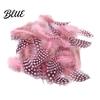 Feather Decorations for Colors 4.5-10cm Natural Chicken Guineahen Feathers Crafts 50Pcs Tail Bright Colored DIY