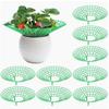 10pieces Strawberry Plant Support Stand | Rack Protector With Growing Holder Cage Strawberry Mats