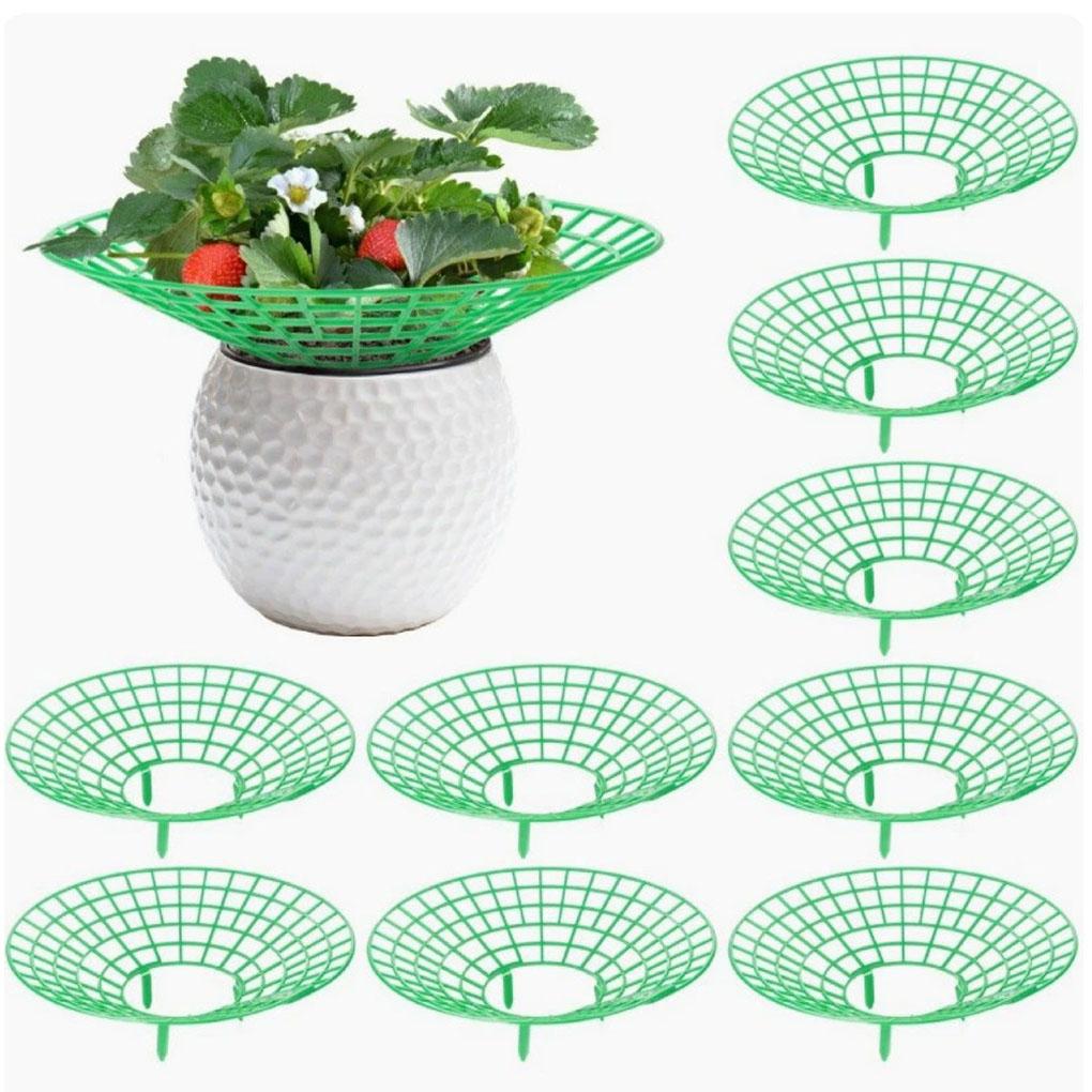 10pieces Strawberry Plant Support Stand | Rack Protector With Growing Holder Cage Strawberry Mats