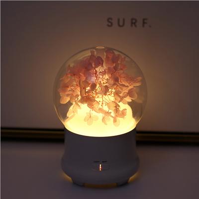 LED-Nachtdekorleuchte Schlafzimmer Kinderschlaflampe für Büro Geschenklampe wiederaufladbar mit Blume Luftbefeuchterlampe mit Diffusor