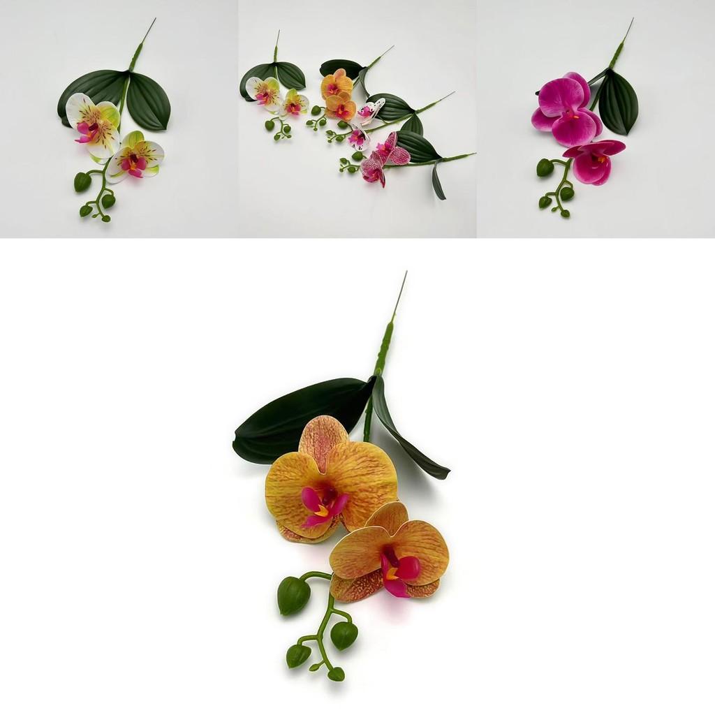Butterfly Orchid Fake Flower For Bridal Events And Room Decoration With Authentic Look For Photography And Gifts