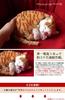 Ninian and Kino Perfect Pet Brown Tabby Cat Plush Realistic and Perfect Gift for Plush Toy (Small) Toy, Lifelike, Celebrations, Animal, Soothing,