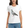 Üst Kıyafetler – T-shirtler