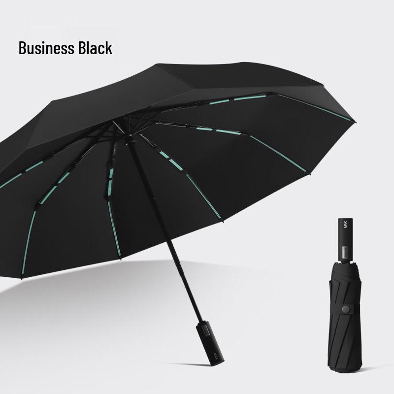 OIMG 10-Rib Large Folding Umbrella