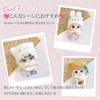Animal Hat & Plush Clothes Set for 10cm Cat, Plush Clothes, Kigurumi Accessories, Otaku Activities, Doll Mascot, Kpopdoll Costume [Used]