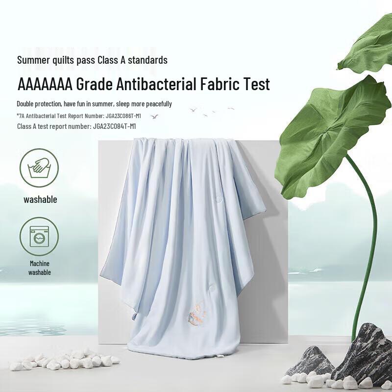 

Mercury Home Washed Tussah Silk Summer Quilt