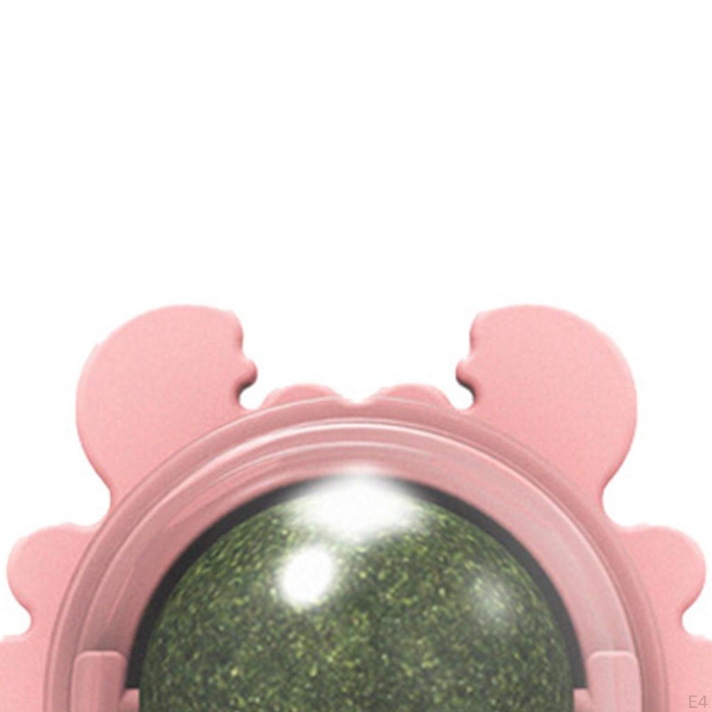 Katzenminz-Bälle Essbar Abnehmbar Drehbar Interaktiv für Snacks, Reinigung, Spielen, Kätzchen Kauen