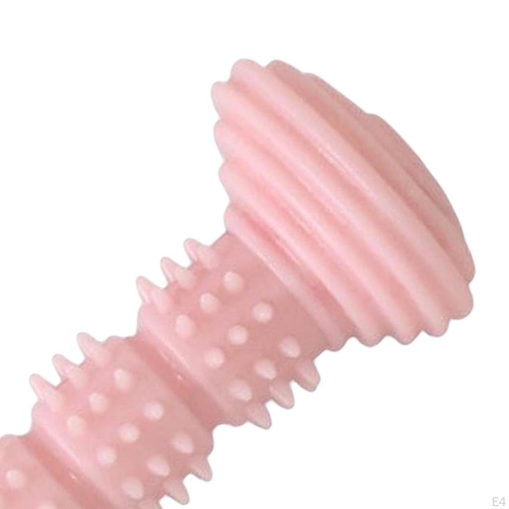 , Interactive Toys, Aggressive Puppy Chews, Molars, Pet Accessories
