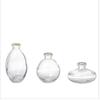 Elegant Mini Light Luxury Glass Vase Set: Creative Desktop Decor for Fresh Flowers In Living Rooms