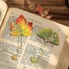 Maple Leaf Oak Leaf Bookmark Apricot Leaf Reading Book Clip Creative Book Marking  Student Gift