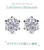 Diamond Lab Single Diamond Earrings for Women in 10K White Gold Box 0.12ct [Gift Set]