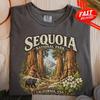 Sequoia National Park Shirt, Outdoor Nature Tee, USA Travel Tee, Waterfall Graphic, Retro Park Graphic, Bear Wildlife Tee, Souvenir