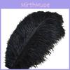 Luxurious Natural Ostrich Feathers 12-14 Inches For Elegant Party Table Decor