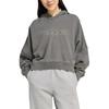 Adidas Originals Washed FW25 Cropped Logo Hoodie Women Hoodies JW7296