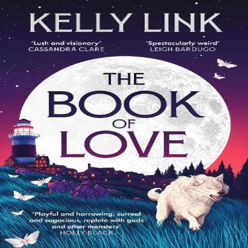 The Book of Love by Kelly Link Paperback Book 9781804548479