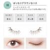 Koji - Dolly Wink Salon Eye Lash
