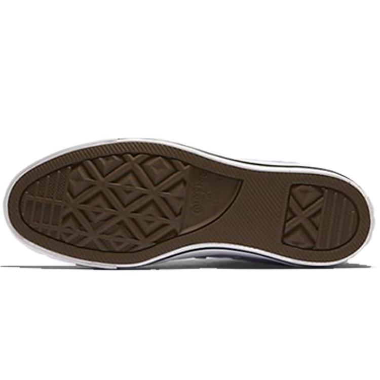 Converse Chuck Taylor All Star Seasonal High Top 160455F