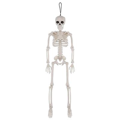Décoration Squelette d'Halloween Squelette Complet avec Articulations Mobiles Squelette Suspendu Décor Réaliste 15,6/35 pouces Cadeaux de Fête