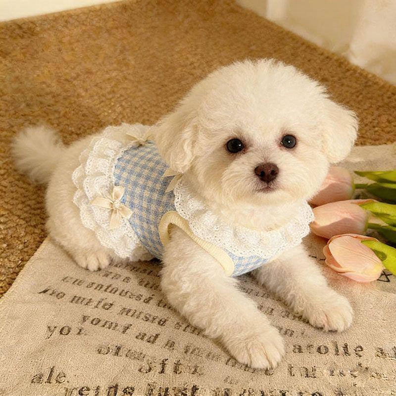 Summer Pet Lace Skirt Lightweight Cat And Dog Bow Lace Vest Thin Plingham Cute Princess Clothing Cat Dog Clothes Pet Supplie