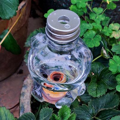 500Ml Garden Automatic Watering Kit Self Watering Tool Indoor Drip Irrigation System Potted Plants Flower Waterers