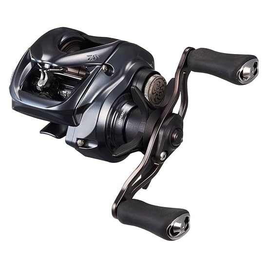 DAIWA Baitcasting Rolle 25 TATULA SV TW 100XHL