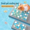 Newcomer Discount: Pet Cooling Ice Pad for Hamsters and Rabbits - Summer Heat Relief
