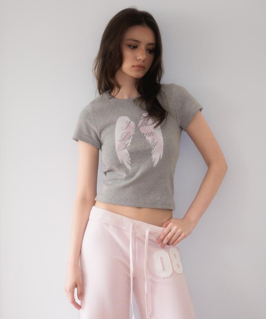 ROSEFRANTZ Angel Wing Lettering T-Shirt [Gray]