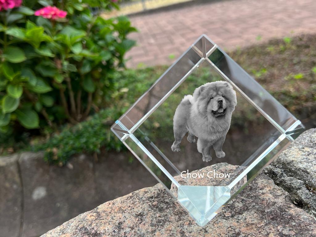 Chow Chow – Crystal cube with a photo, photo of a horse in crystal | Art-Dog
