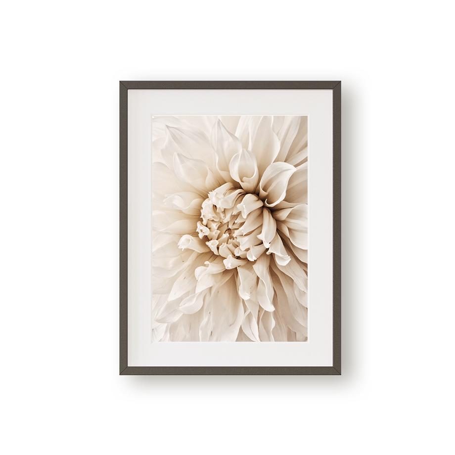 Beige Dahlia Peony Rose Daisy Flower Leaf Wall Art Canvas Painting Nordic Posters And Prints Wall Pictures For Living Room Decor