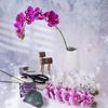 Realistic Touch Glue-Coated Large Phalaenopsis Orchid Artificial Flower for Home Decor and Wedding Bouquets
