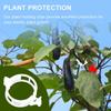 Reusable Plastic Plant Support Clips Garden Vine Strapping Fixing Clip for Climbing Tomato Grape Vegetables Stalk Holders Buckle