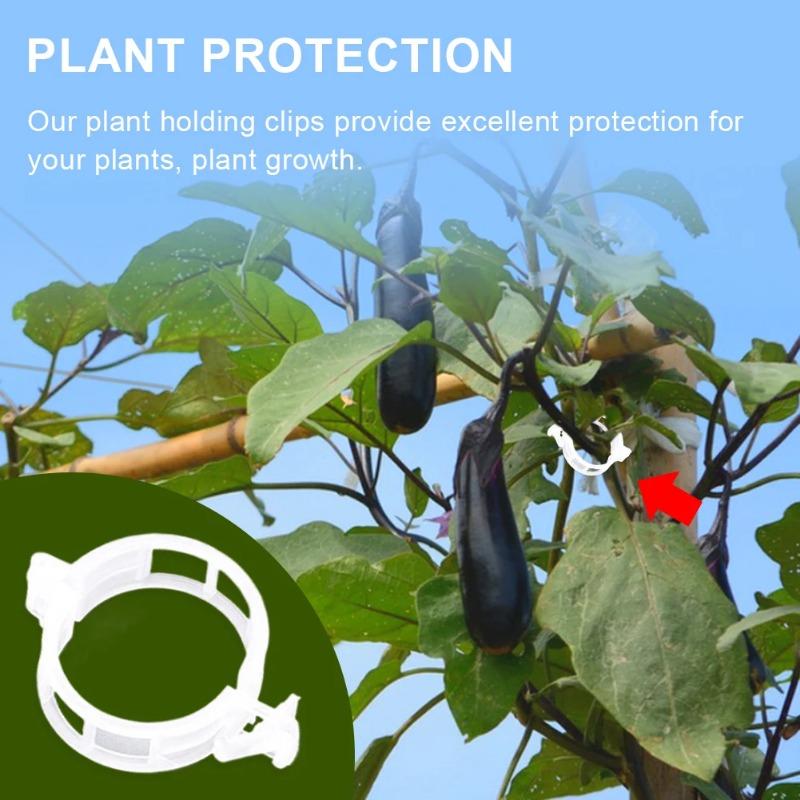 Reusable Plastic Plant Support Clips Garden Vine Strapping Fixing Clip for Climbing Tomato Grape Vegetables Stalk Holders Buckle