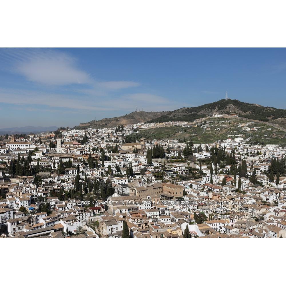 Canon Einzelfokus-Weitwinkelobjektiv EF-S24mm F2.8 STM APS-C kompatibel EF-S2428STM