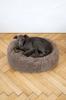 Oval Natural Wool Pet Bed - Beige 60 Cm