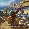 Where the Ocean Meets the Sky by Barbara Stevenson Paperback Book 9781911143932