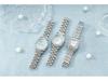 Gypsophila Steel Band Luxury Women's Quartz Watch with Diamond-Set Round Dial