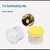 Stainless Steel Beekeeping Frame Piercing and Queen Caging Tool