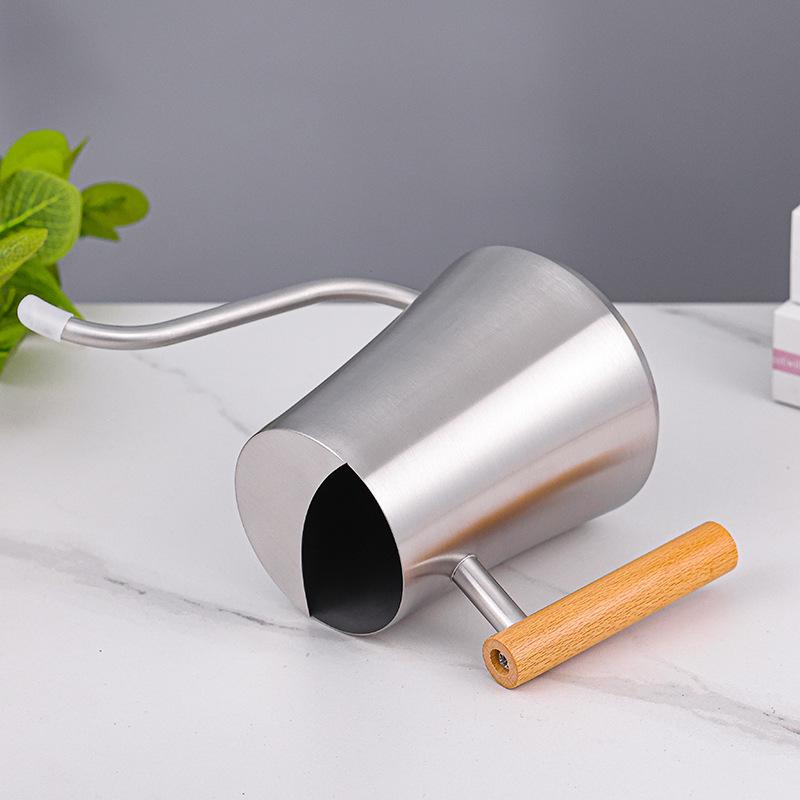 Stainless Steel 1000ml Watering Can with Wood Handle – Creative Slim Waist Design for Gardening