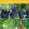 Garden Cucumber Net for Plants Climbing Net Nylon Heavy Duty Polyester Vine Mesh Net for Tomato Grapes