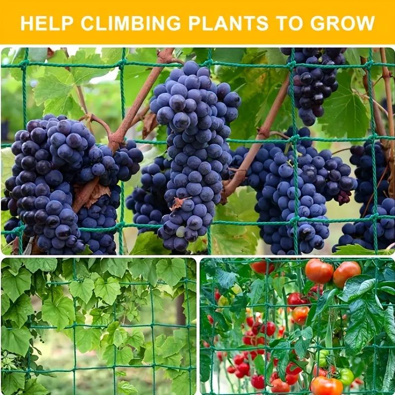 Garden Cucumber Net for Plants Climbing Net Nylon Heavy Duty Polyester Vine Mesh Net for Tomato Grapes