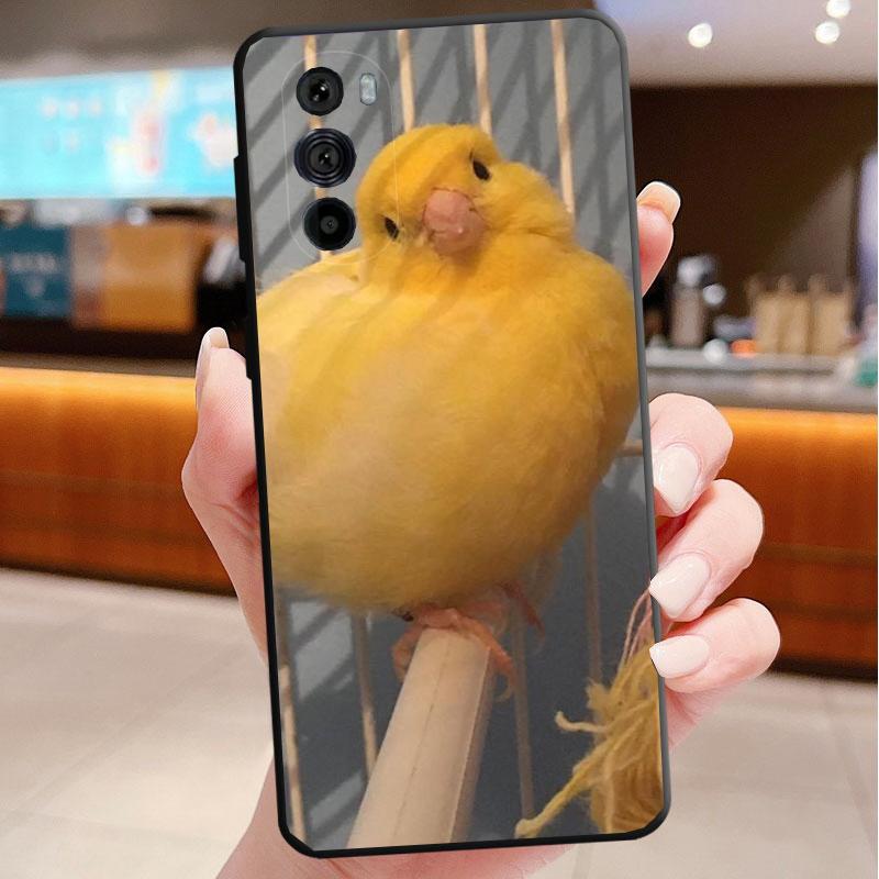 

Phone Case For Motorola Edge 50 40 Pro 60 50 40 30 Ultra Neo Fusion Moto G Play G Stylus G Power G Cockatiel bird G Stylus 5G 2023