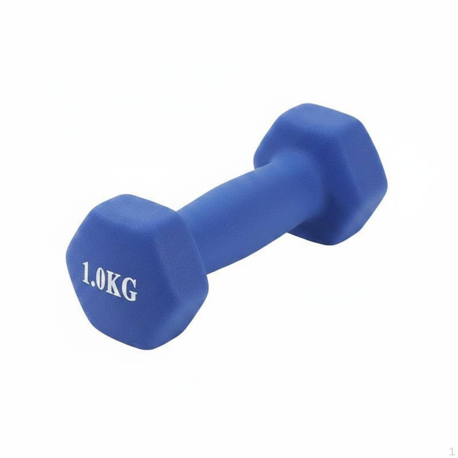 Cast Iron Dumbbell Floor Friendly Hex Hand Weight for Beginners, Women, Home Workout, Gym