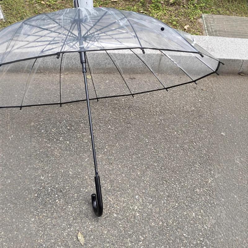 Explosive Element Transparent Umbrella Umbrella Simple Fresh Gift 16 Bone Long Handle