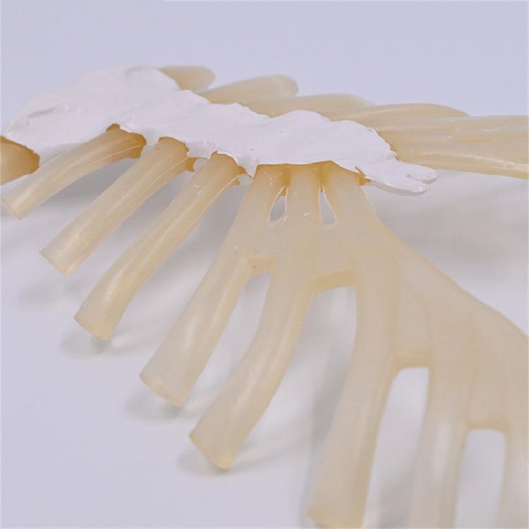 Human Sternum Model Human Skeleton Model Human Skeleton Anatomical Model Easy To Use Medicals Teaching Aid